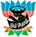 DJ Feral